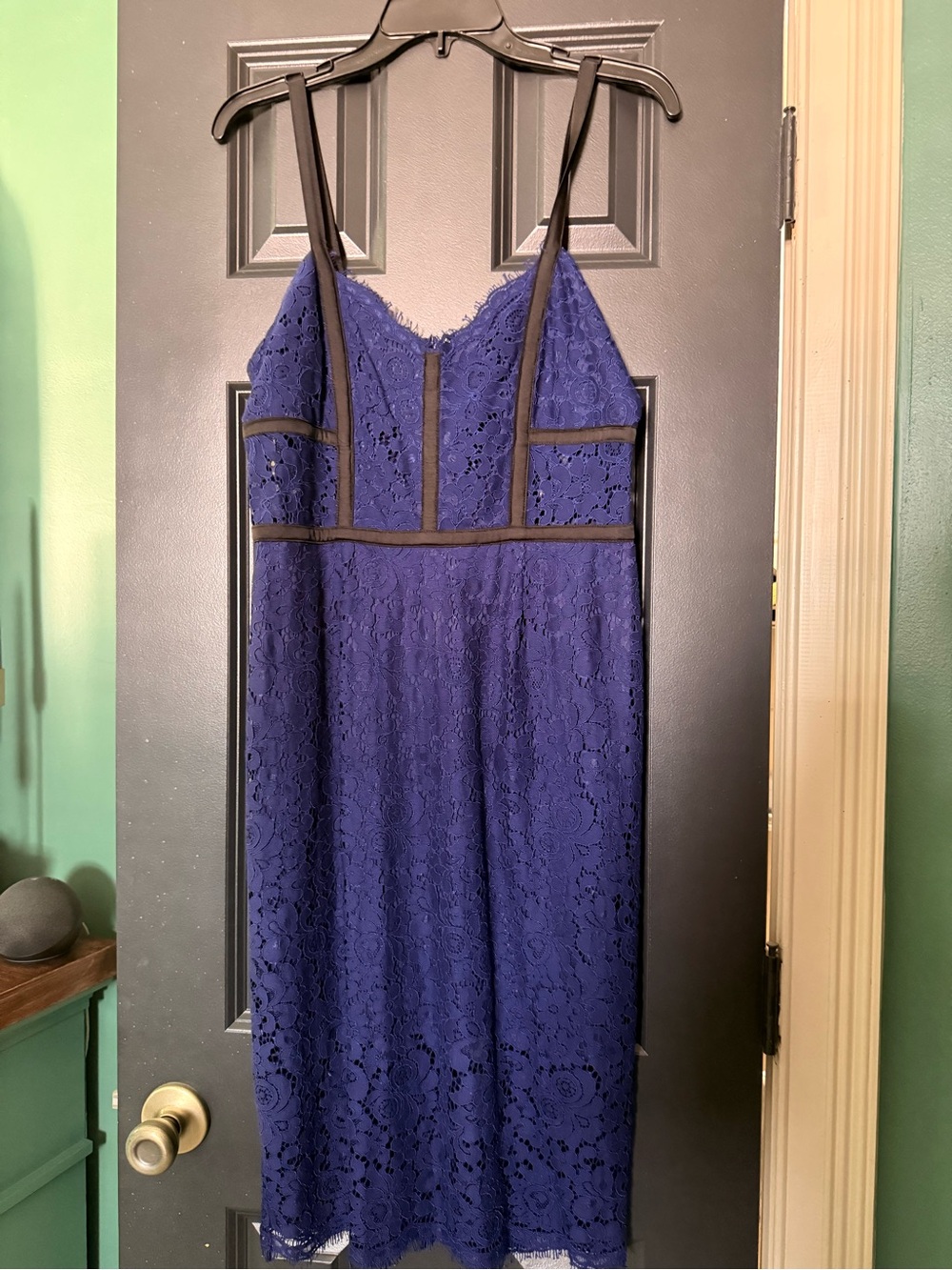 Express Royal Blue Lace Midi Dress with Black Trim